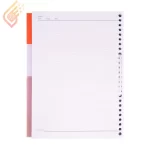 کاغذ کلاسوری پاپکو مدل Papco NB-606-SH
