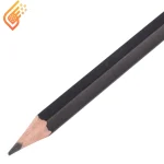 مداد مشکی پاپکو مدل Papco PS-16OHB0312