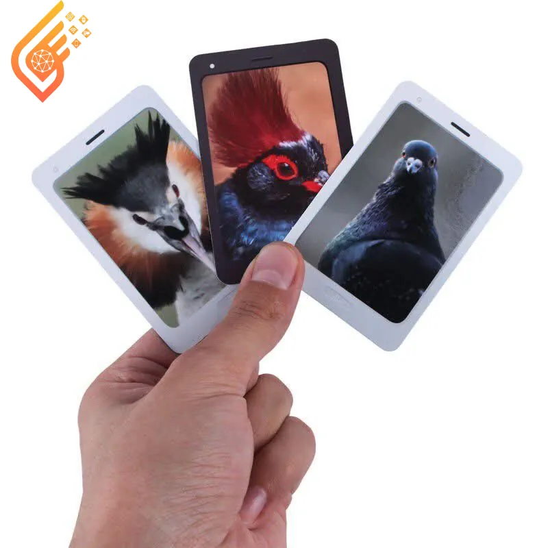 بازی فکری سلفی گراف زینگو (1) بازی فکری سلفی گراف زینگو