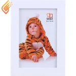 قاب عکس حجمی ترنج 1510 سانتی متر کد 1