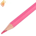 مداد رنگی 24 رنگ پاپکو مدل Papco PS-26LCB2402