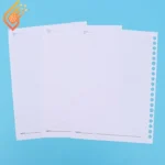 کاغذ کلاسوری 20 حلقه 100 برگ پاپکو A5-636-SH